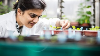 Türkiye ve Birleşik Krallık arasındaki bilim ortaklıkları ve araştırma iş birlikleri için 100 bin Sterlin fon desteği