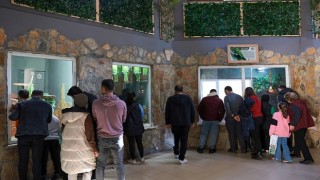 Antalya Doğal Yaşam Parkı çocuk sesleriyle renklendi