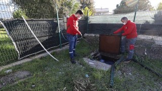 Menderes;te Larva Mücadelesi