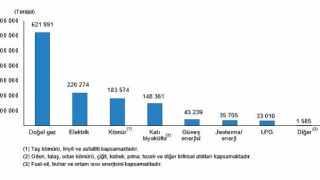 TÜİK: Hanehalkı Nihai Enerji Tüketim İstatistikleri, 2022