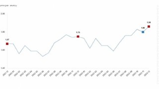 TÜİK: Tavuk eti üretimi 200 bin 333 ton, tavuk yumurtası üretimi 1,86 milyar adet olarak gerçekleşti