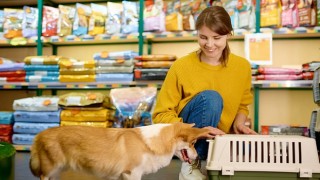 Türkiyede yaşanan evcil hayvan ebeveynleri sağlıklı ve besici ürünler tercih ediyor