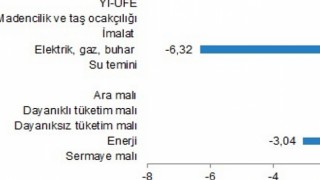 Yurt İçi Üretici Fiyat Endeksi, Ocak 2024
