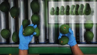 Bakan Böcek tarımda istihdamı arttıracak projeler ile geliyor