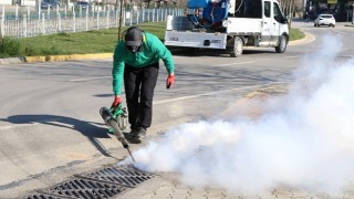 Kocaelinin sağlığı için sivrisinekle mücadeleye devam