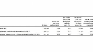 Tüik: Tarımsal girdi fiyat endeksi (Tarım-GFE) yıllık %45,11, aylık %7,51 arttı