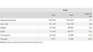 TÜİK: Ticari süt işletmelerince 915 bin 522 ton inek sütü toplandı
