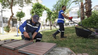 Bucanın parklarında yaza hazırlık