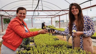 Çeşme Belediye Başkanı Lal Denizli, Ata tohumu yaygınlaştırma projesi kapsamında üreticilere fidan ve tohum desteği verdi