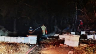 Kemerde çıkan orman yangını büyümeden söndürüldü