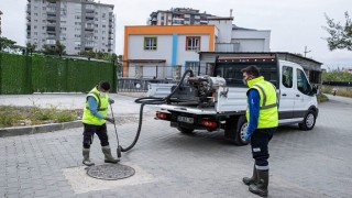 Sivrisinek ve haşere ile mücadele 12 ay sürüyor