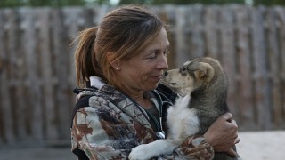 Yukon Veterinerine Saygı Özel Bölümü National Geographic WILD Ekranlarında!