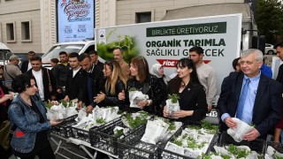 Osmangazi Belediyesinden vatandaşa 100 bin fide