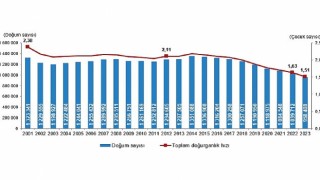 Tüik: Canlı doğan bebek sayısı 958 bin 408 oldu