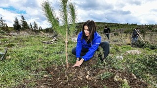 Enerjisa Üretim, Her Fidan Bir Umut projesi ile Türkiyenin ormanlarına 1 milyonu aşkın fidan dikiyor