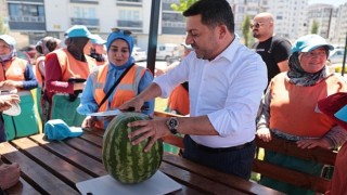 Nevşehir Belediye Başkanı Rasim Arı, belediye ekiplerinin çalışma alanlarında incelemelerde bulundu