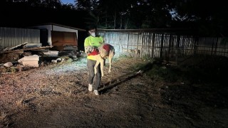 Yangın nedeniyle 335 hayvan koruma altına alındı Büyükşehir ekipleri can dostları yangından korudu