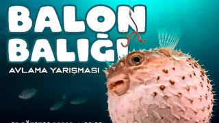 Antalya Büyükşehir Belediyesinden Balon Balığı Avlama Yarışması