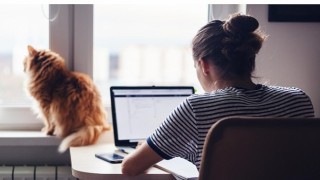 Gençleri iş ve burs vaadiyle kandırmaya çalışıyorlar