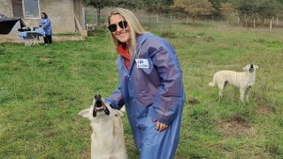 CarrefourSA Dost Hareketi ile Sokak Hayvanlarına Desteğe Devam Ediyor