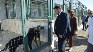 Patili Dostlara Miniklerden Ziyaret