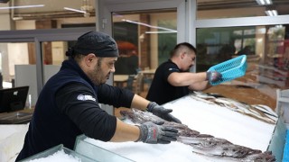 Antalyada taze balığın adresi Düden Balık Çarşısı