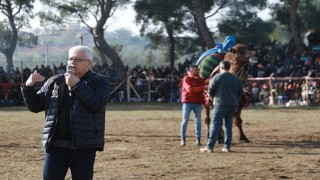Pelitköy Deve Güreşleri İçin Geri Sayım Başladı