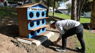 Bayraklıda sokak kedilerine yeni yuva