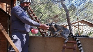Antalya Doğal Yaşam Parkında soğuk hava önlemi
