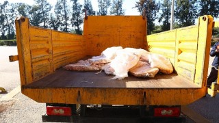 Büyükşehir, usulsüz taşınan sakatata geçit vermiyor