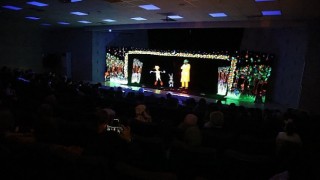 Dedektif Çizmeli Kedi Kartepede