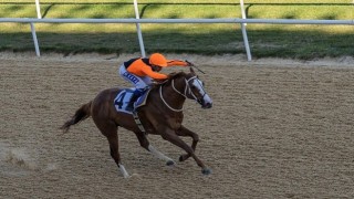İzmir Büyükşehir Belediye Başkanlığı Koşusu nu Wardenclyffe kazandı