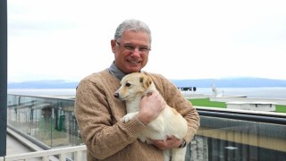 Mudanya Belediyesinden Sahipsiz Hayvanlara Şefkat Eli