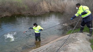 Sivrisinek ve haşereyle mücadele 12 ay sürüyor