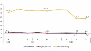 Tüik: İstihdam endeksi yıllık %2,6 arttı