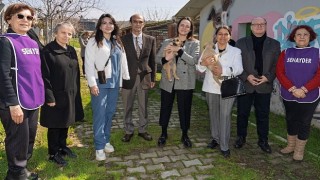 Bir patili dost edinmeye ne dersiniz?