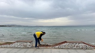 Büyükşehir Belediyesinden Didimde hummalı çalışma