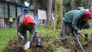 Daha yeşil bir Edremit için..