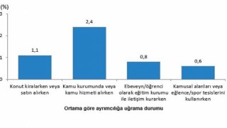 Hizmetlere Erişim ve Ayrımcılık, 2024