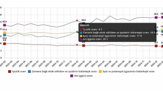 İşgücü İstatistikleri, Şubat 2025