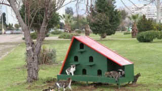 Karşıyaka Belediyesinden sahipsiz hayvanlar için örnek uygulama
