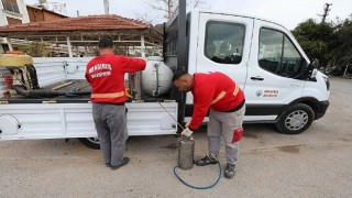 Mendereste Haşere ile Mücadele Başladı