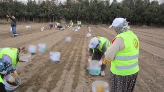 OGMden girişimci orman köylüsü kadınlara 64 milyon TL destek