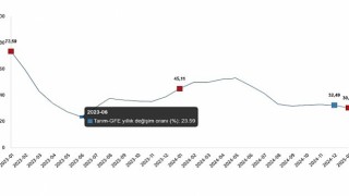 Tarımsal Girdi Fiyat Endeksi, Ocak 2025