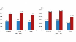 Tüik: Mevsimlik tarım işçilerinin ortalama günlük ücretleri 2024 yılında %84,2 arttı