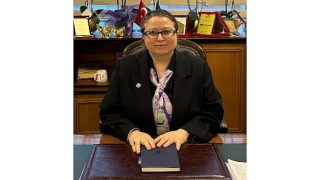 Bipolar bozuklukta kişi, tedavi ile iş ve sosyal hayatını sürdürebilir