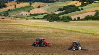 Büyükşehir destekliyor, üretici kazanıyor