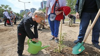Karşıyaka da zeytin fidanları toprakla buluştu