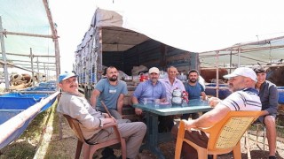 Büyükşehir kurban satış noktalarını ilaçlıyor