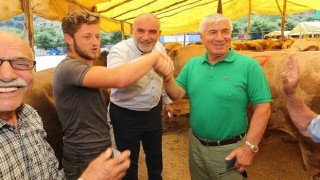 Canikte Kurbanlıklar Görücüye Çıktı